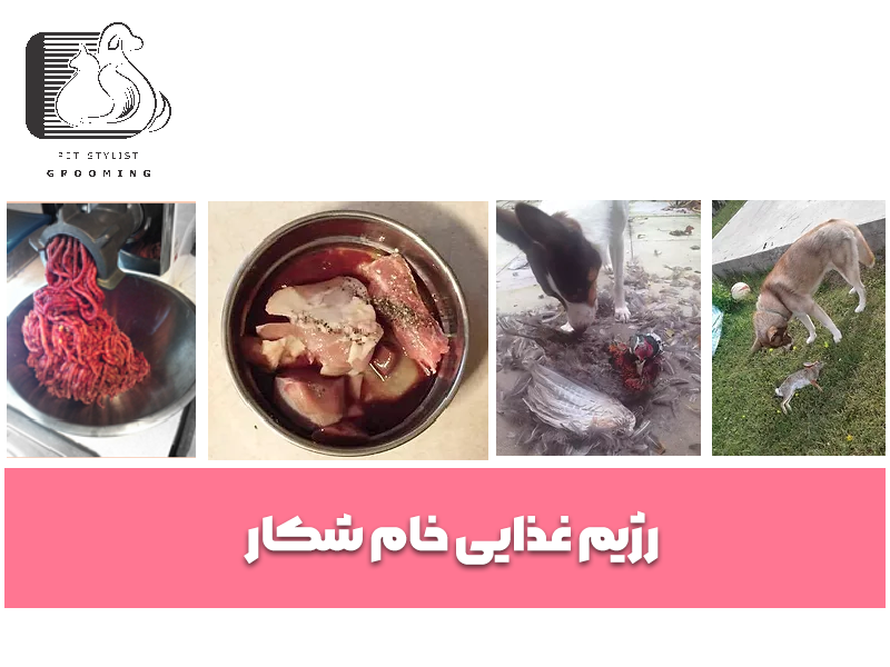 رژیم غذایی خام شکار